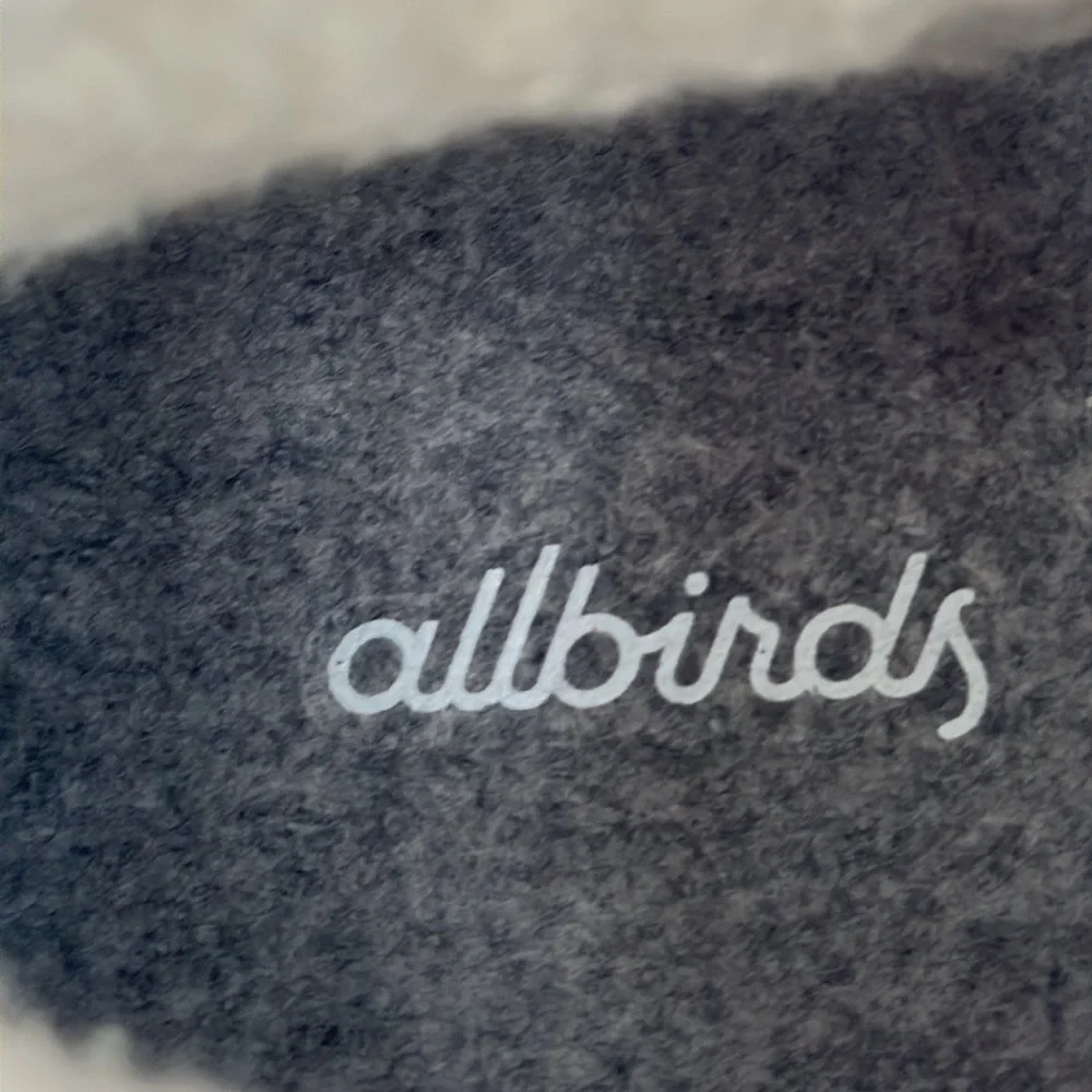 allbirds our wet
